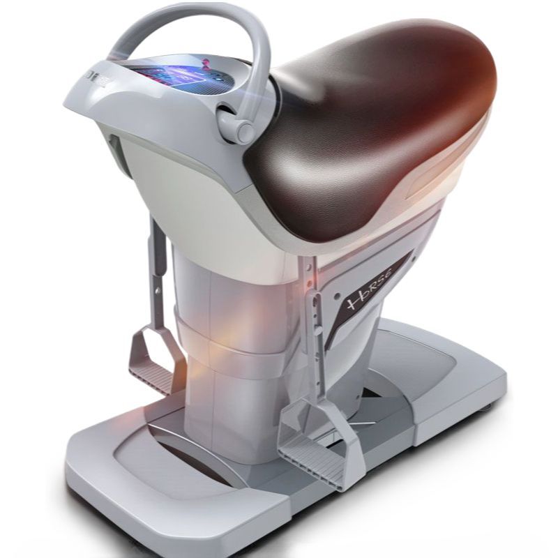 승마 운동 기구 용품 말 실내 기계 가정용 홈트 진동 훈련 로데오 복부 다기능 복근 피트니스 코어