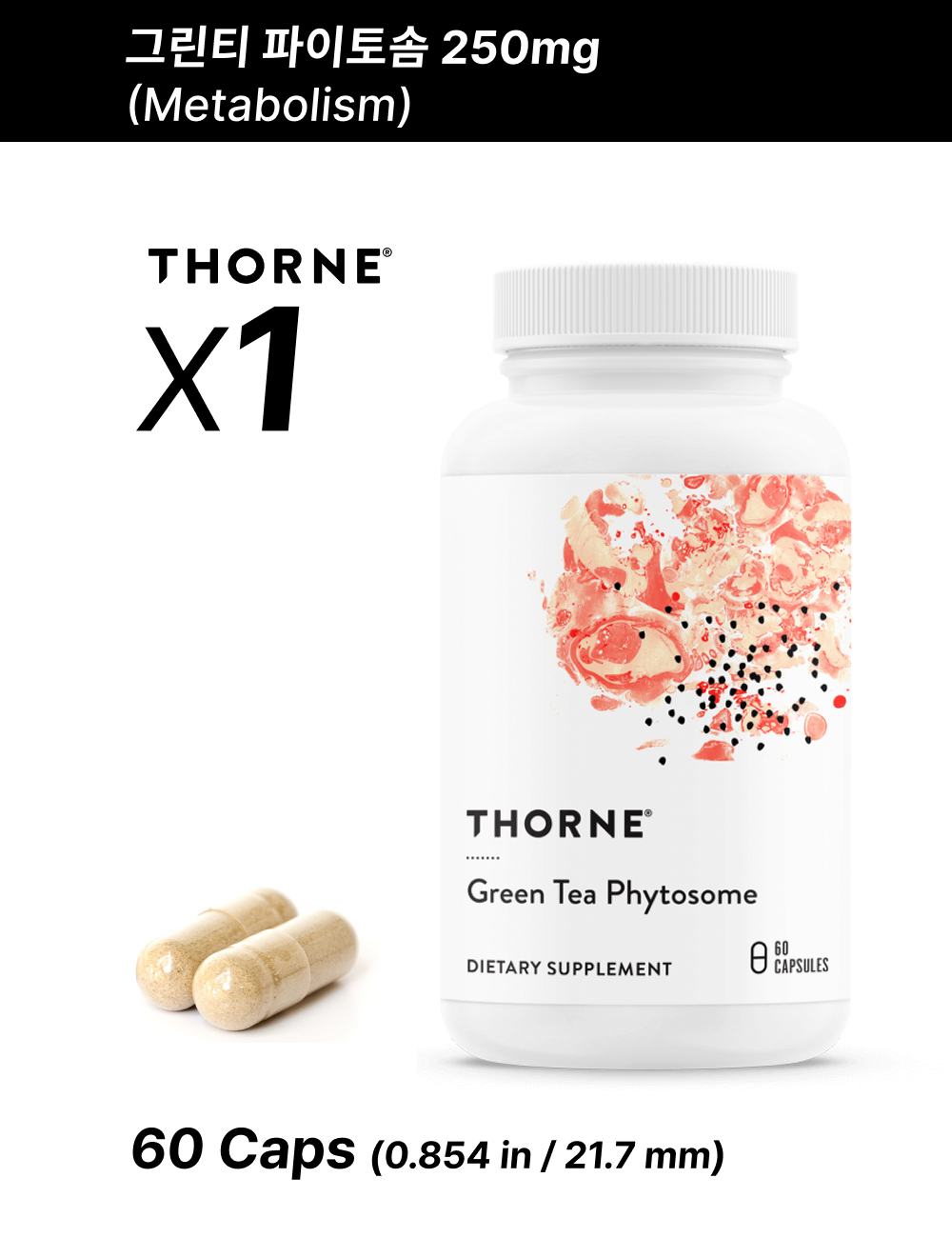 쏜 리서치 <b>그린티 파이토솜</b> 250mg 60캡슐