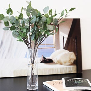 광고 메인 이미지