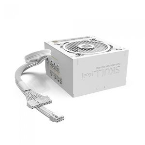 NEWZEN SKULL 850SM MODULAR ATX 3.0 80PLUS GOLD WHITE (PCIE5)