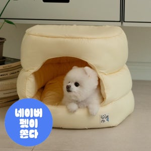 포글 댕굴하우스 강아지집 쿠션 올인원