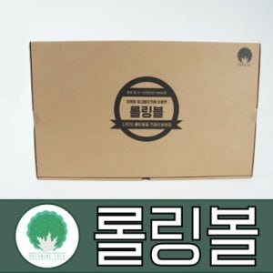 [지레와 밀고 빠지기를 이용한 롤링볼 만들기 (Rolling Ball) 5세트] 과학실험