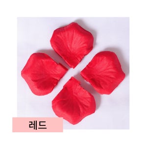 플라워샤워 웨딩 촬영 프로포즈 조화 꽃잎
