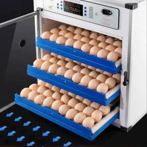 자동 병아리 부화기 오리 거의 메추라기 계란 인큐베이터 키우기 닭 메추리 거위 알 달걀