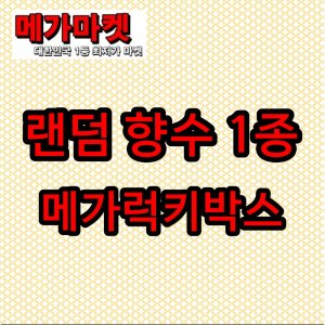 공스킨향수 최저가 가성비상품