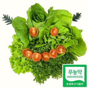 [무농약] 유럽채소 모듬 샐러드 친환경 쌈채소 유기농 유럽 상추 야채 1kg