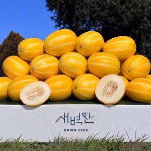 [농할쿠폰] 성주 참외 4.5kg