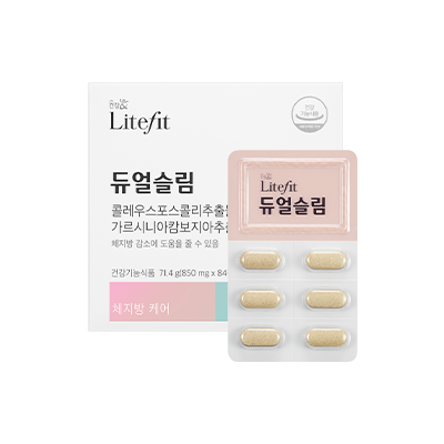듀얼슬림