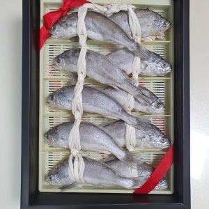 영광굴비 참조기굴비 선물세트 (두름) 오가 4호 10마리 1.5kg