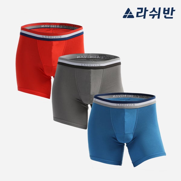 라쉬반 스타터 엠비션 커버레그핏 시티 3종