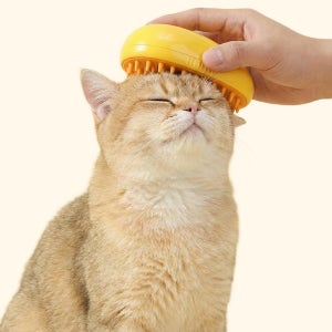 펫케어 고양이 스팀 빗 망고 브러쉬 실리콘