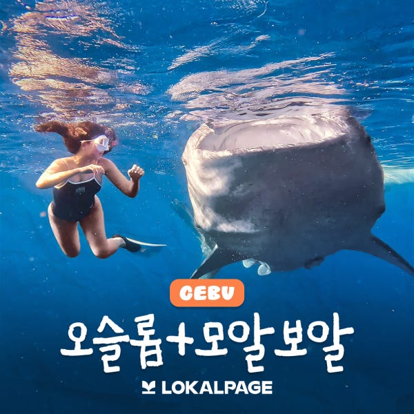 세부 고래상어 패스트트랙 오슬롭 투말록폭포 모알보알 투어 로컬페이지 [오모팩]