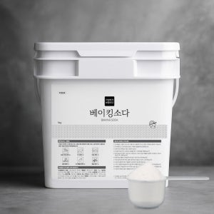 베이킹소다 다목적세제 용기형 5kg, 1개
