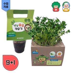 AR 환경교육 새싹무순 키우기