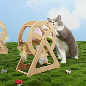 고양이 소형 캣휠 동물 장난감 회전목마 우드 스크래처