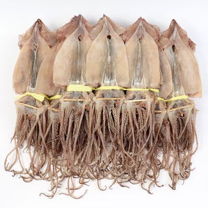 더줌 건오징어20미(1.7kg)