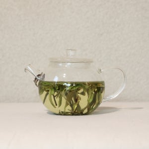 오브차 유리다관 200ml, 잎차 3g 제공