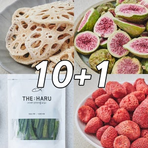 알뜰기획 [10+1] 건강 간식 더하루 도매 동결건조 과일칩 야채칩 10개구매시 한봉더