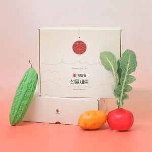 태양별 선물세트 (+선물쇼핑백) 비트차, 돼지감자차, 여주차 3종세트