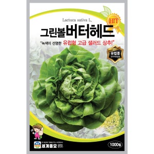 텃밭 버터헤드 상추 1000립 유럽 씨종자 봄 샐러드 고급상추