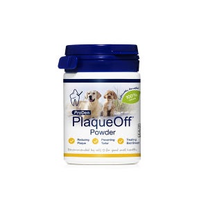 프로덴 플라그오프 파우더 독 40g, 1개