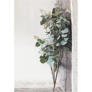 광고 메인 이미지