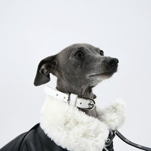 리또리 가브리엘라 강아지목줄 프리미엄 가벼운 튼튼한 소형견 중형견 최고급 가죽 목줄