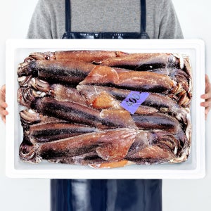 냉동 선동오징어 10kg 12.5kg 포크오징어 업소용