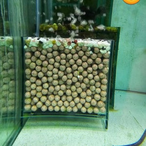 앙코르 수족관 자체 제작 힐링눈꽃여과기 방울방울 올라오는 눈처럼 힐링하는 물생활