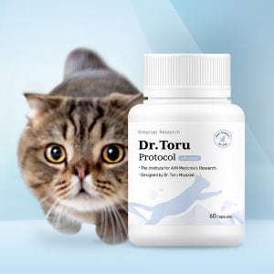 신부전 고양이 AIM 신장 영양제 닥터토루 미야자키 토루 박사 설계 60캡슐, 1개