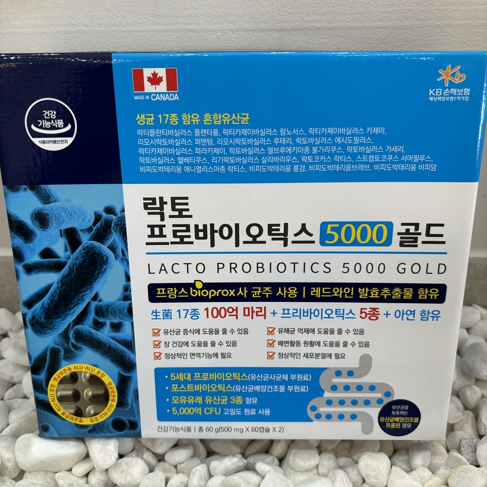 락토 프로바이오틱스 5000 골드