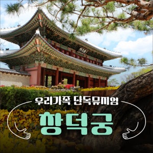[우리 가족 단독 뮤지엄👨‍👩‍👦‍👦] 창덕궁 | 창덕궁투어 창덕궁해설 문화해설 역사교육 서울궁궐나들이 가족나들이추천 역사여행 서울세계유산관광 조선시대궁궐 체험학습 가족체험