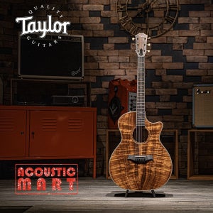 테일러 통기타 Taylor K24ce LTD NAT