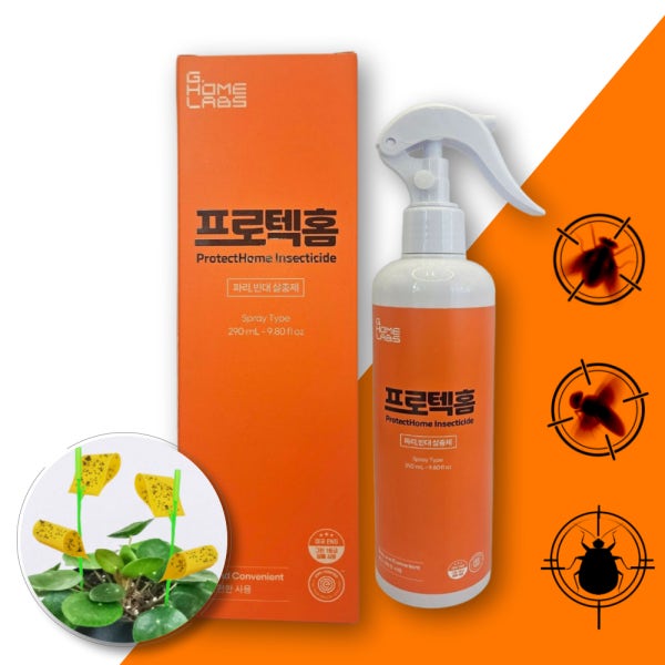 프로텍홈 초파리 트랩 날파리 퇴치 나방파리 빈대 퇴치제 살충제 파리약 스프레이 290ml