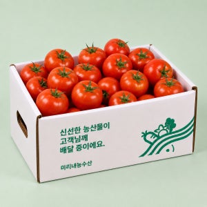 경남 창원 봄 완숙 유럽종 토마토 5kg 3kg 10kg 고당도 제철