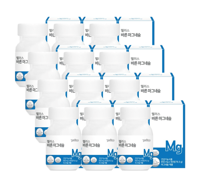 웰러스 바른 <b>마그네슘</b> 850mg x 90정 (12통)