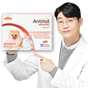 안티놀 래피드 강아지 고양이 관절 슬개골 영양제 관절건강, 60캡슐, 1개