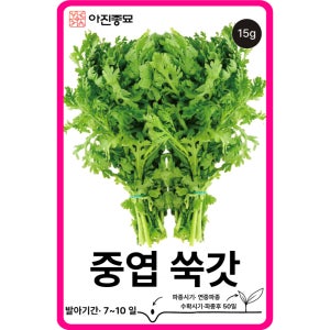 쑥갓씨앗 15g / 중엽쑥갓 종자 쌈 채소씨앗 텃밭키우기