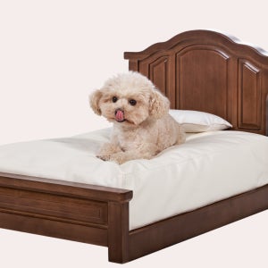 뉴캐슬퍼니처 마르 펫침대 - 강아지, 고양이 프리미엄 Mar Pet Bed 고양이가구 반려견쇼파 반려동물가구 애견침대