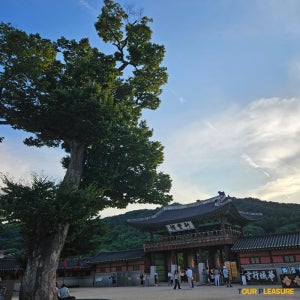 Suwon Hwaseong Fortress Guided Tour - foreigner only 수원화성 투어 - 외국인 전용상품