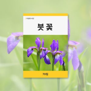 붓꽃 야생화 씨앗 봄꽃 꽃씨 키우기 데팡스