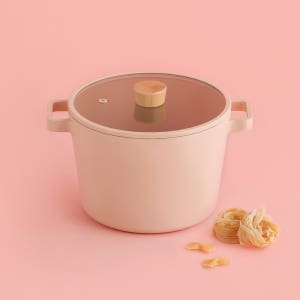 네오플램 피카 세라믹 인덕션 곰솥냄비 22cm