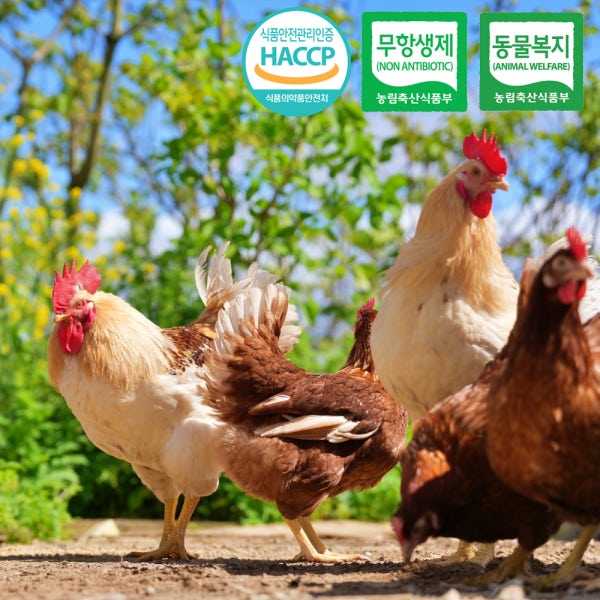 [지경] 난각번호2번 동물복지 유정란 무항생제 계란 60구