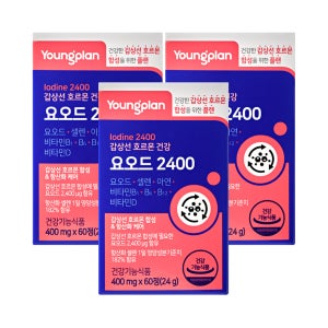 영진 갑상선건강 요오드 3통 6개월분 아이오딘