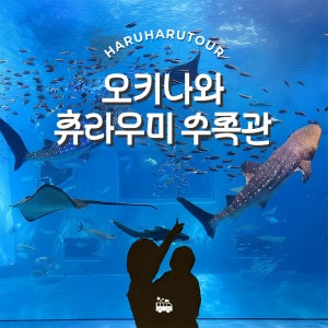 오키나와 북부 투어 버스 츄라우미 수족관 만좌모 입장권 포함 일일 일본 여행 1명부터출발