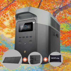 에코플로우 델타2 맥스 EFD350 2048Wh 리튬인산철 파워뱅크 캠핑 차박 낚시 AB