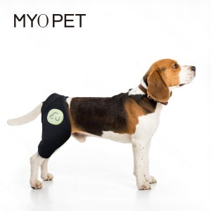 마요펫 강아지 슬개골보호대 중저주파 운동기기 노견 십자인대 탈구 예방