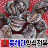 [산지 당일발송]전복1kg 30미(동해안 양식전복)포항죽도시장 해탕 수산물