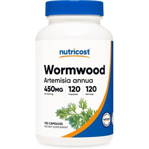 뉴트리코스트 약쑥 쓴쑥 Wormwood 450mg 120정