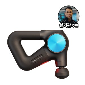 테라바디 테라건 프로 플러스 진동 마사지건